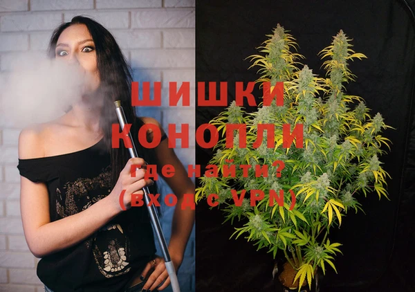 прущие грибы Белоозёрский