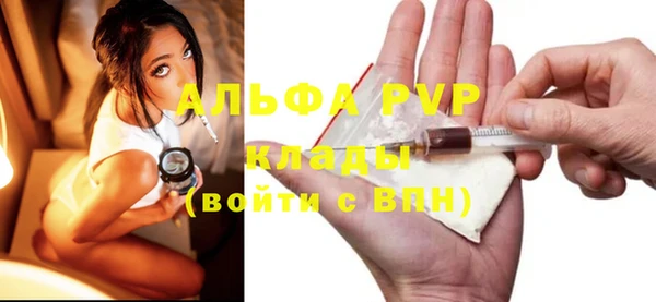 прущие грибы Белоозёрский