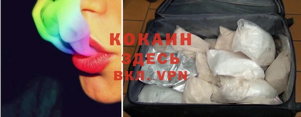 прущие грибы Белоозёрский